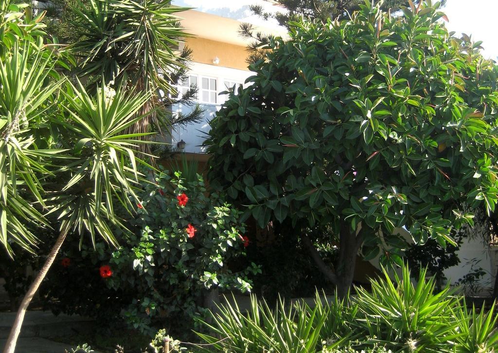 Appartement Corina